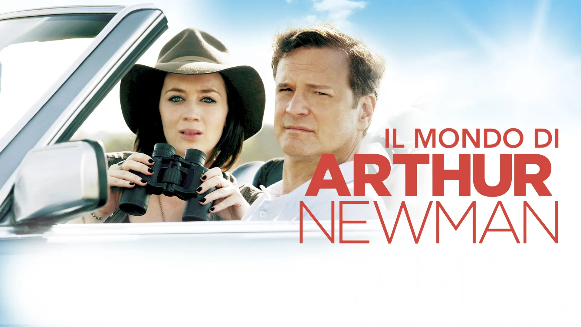 Il mondo di Arthur Newman - poster