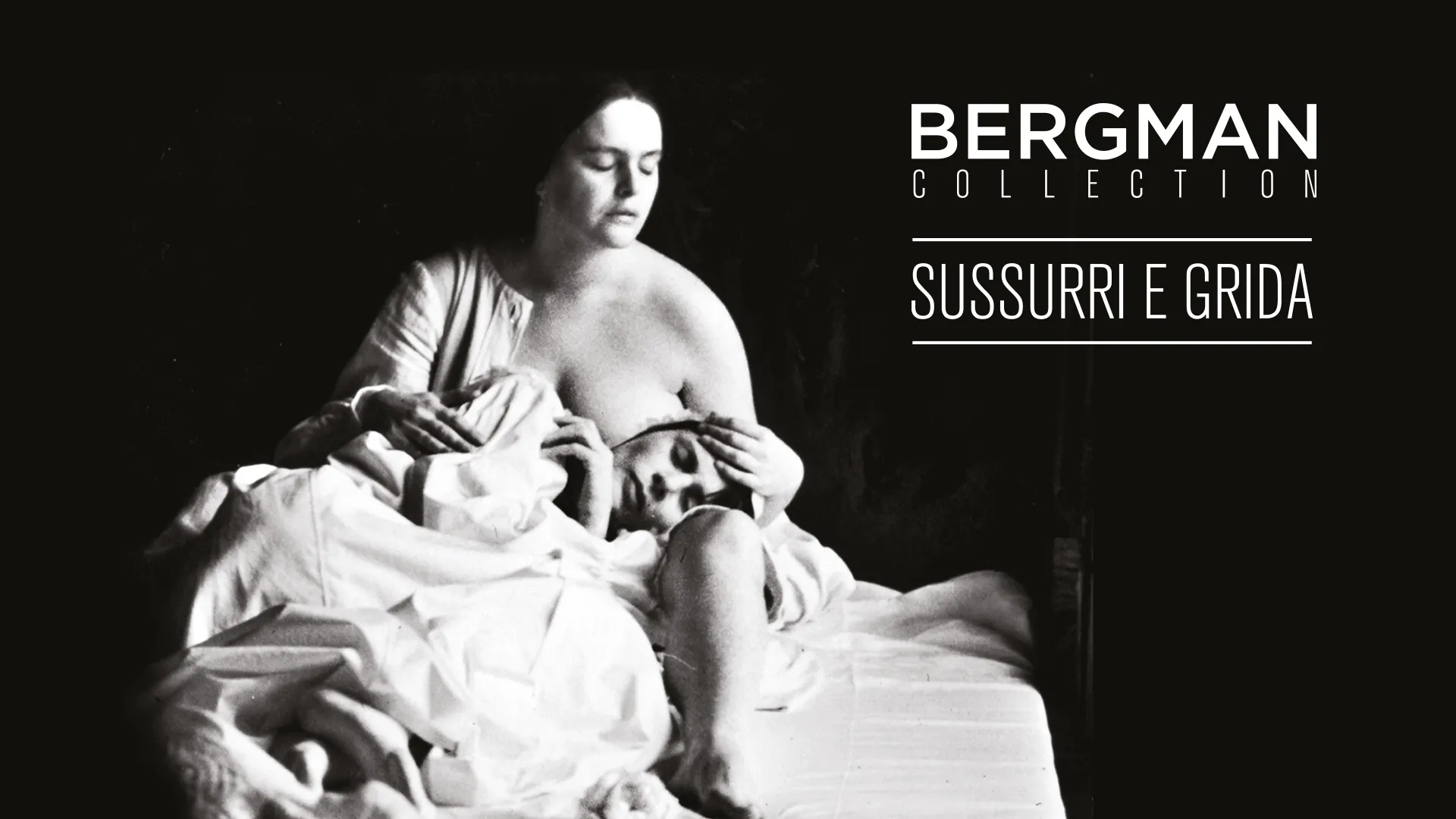 Sussurri e grida - poster
