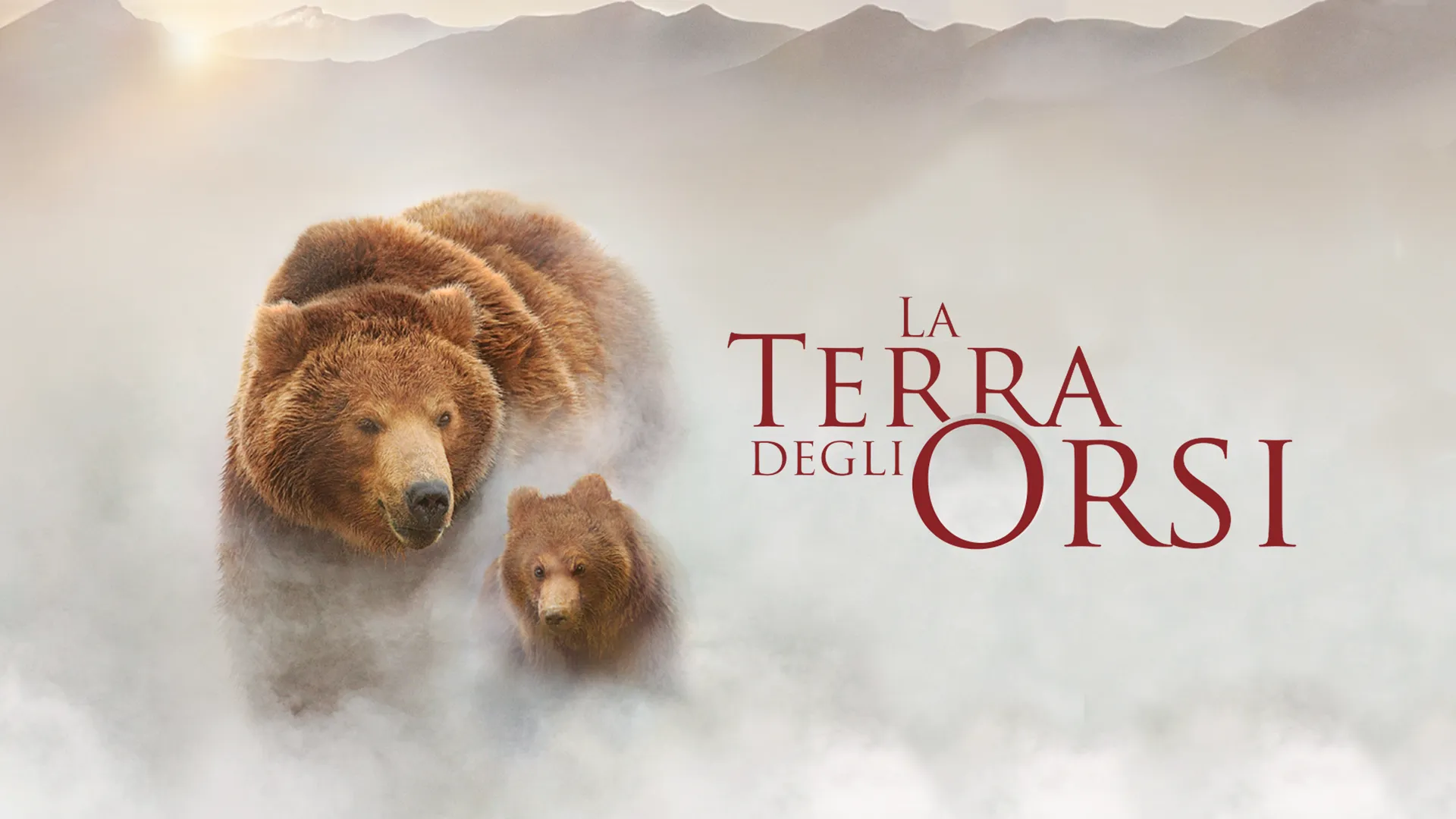 La terra degli orsi - poster
