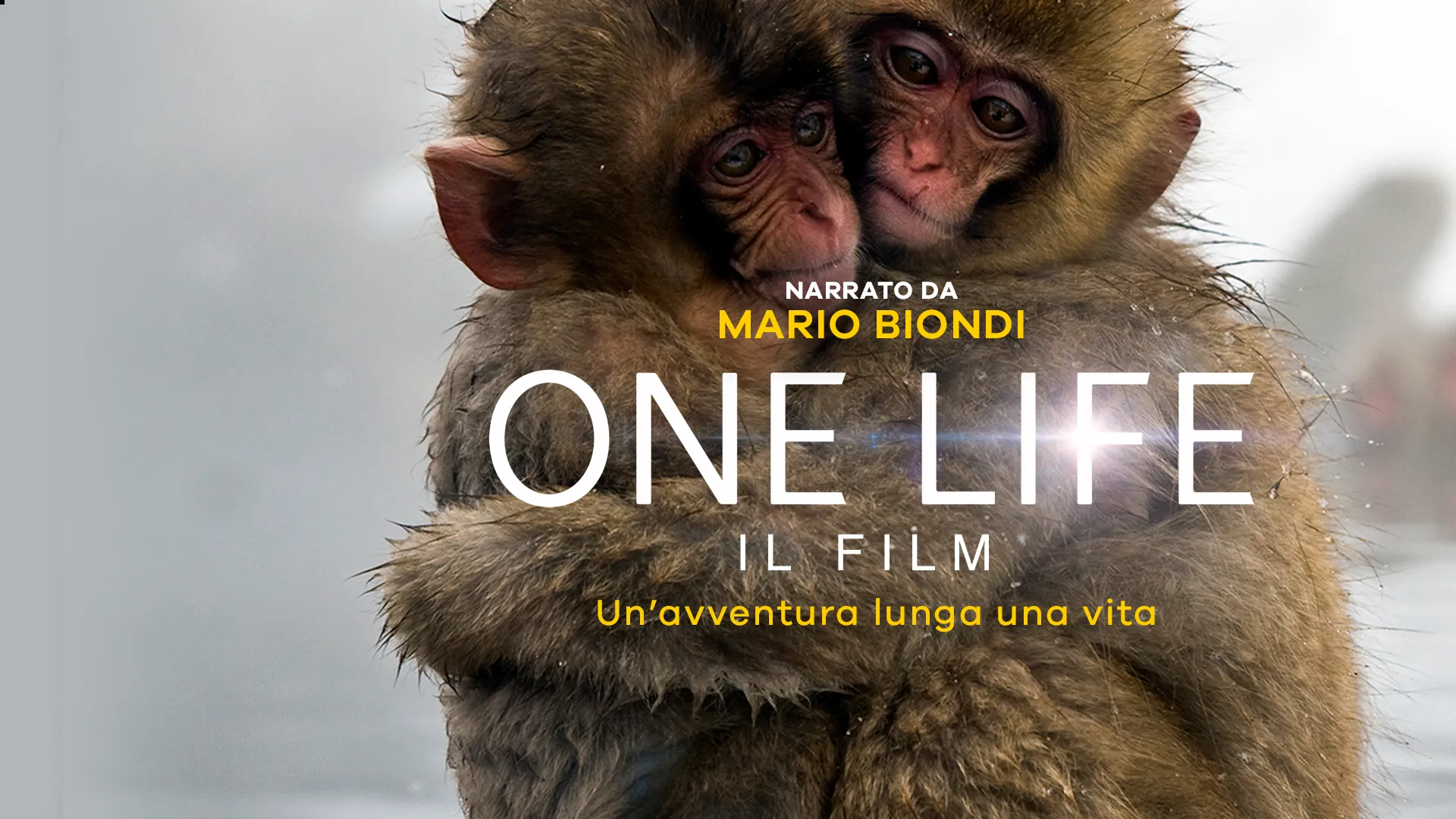 One Life – Il film - poster