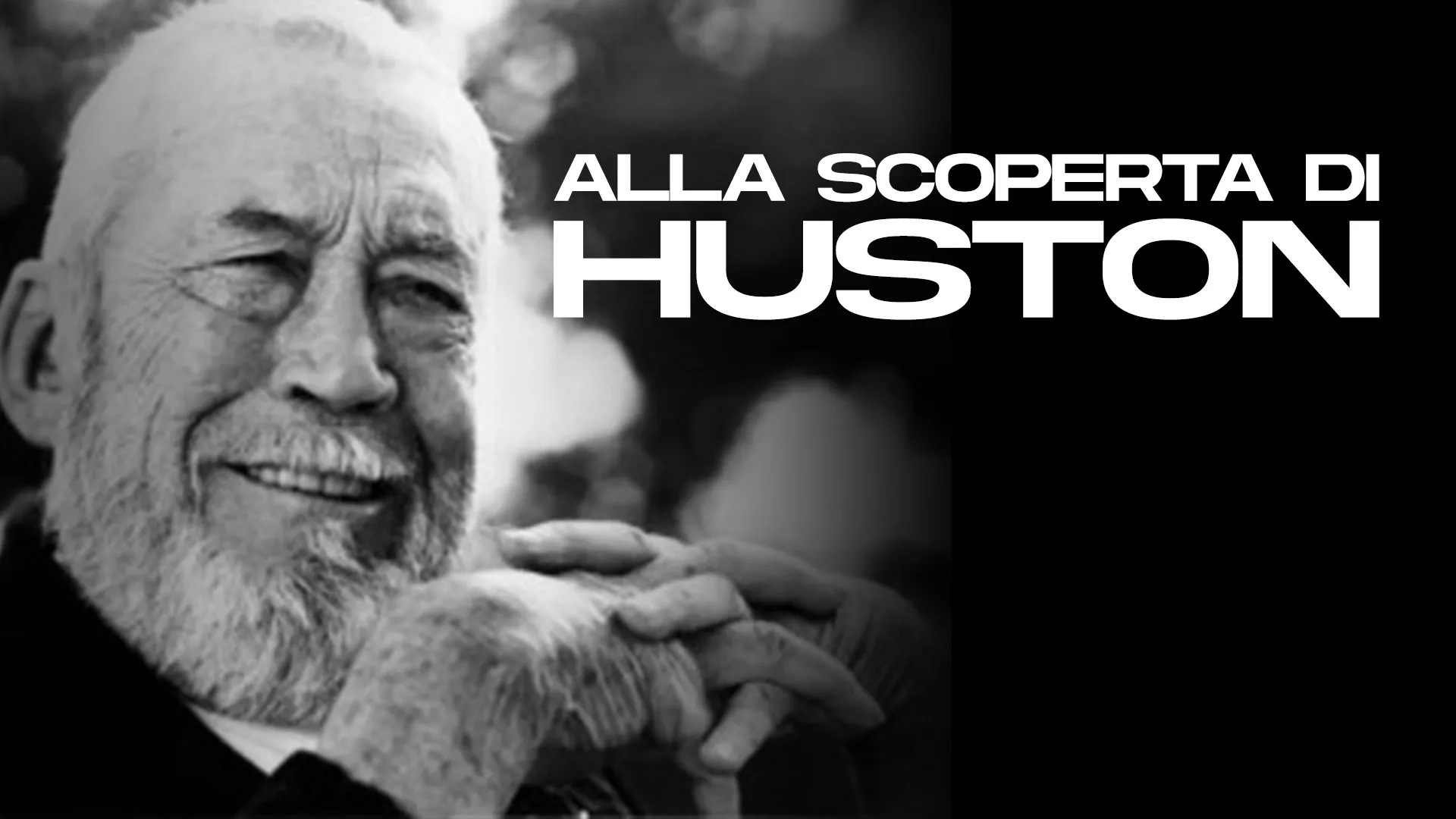 Alla scoperta di Huston - poster
